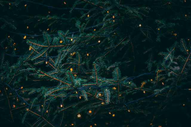 Christmas tree, background image